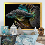 Tropical Blue Fish In Shades Of Blue And Orange VI