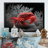 Red Deepsea Crab In Red And Black I