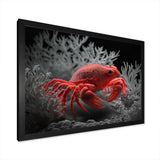 Red Deepsea Crab In Red And Black I