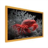 Red Deepsea Crab In Red And Black I