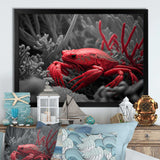 Red Deepsea Crab In Red And Black II