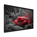 Red Deepsea Crab In Red And Black II