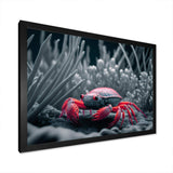 Red Deepsea Crab In Red And Black III