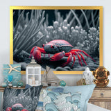 Red Deepsea Crab In Red And Black III