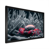 Red Deepsea Crab In Red And Black IV