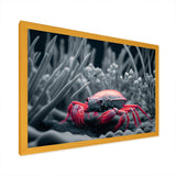 Red Deepsea Crab In Red And Black IV