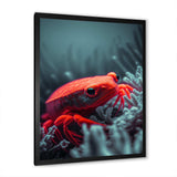 Red Deepsea Crab In Red And Black V