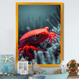 Red Deepsea Crab In Red And Black V