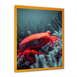 Red Deepsea Crab In Red And Black V