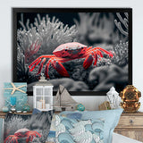 Red Crab In Shades Of Black And Blue II