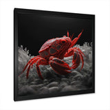 Red Deepsea Crab In Red And Black VI