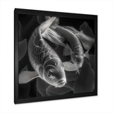 Monochrome Koi Fish