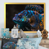 Beautiful Mandarin Fish In Shades Of Blue VII