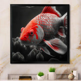 Black And Red Tropical Fish I