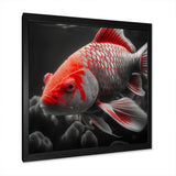 Black And Red Tropical Fish I