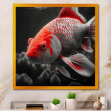 Black And Red Tropical Fish I