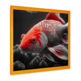 Black And Red Tropical Fish I