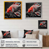 Black And Red Tropical Fish I