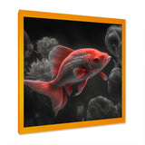 Black And Red Tropical Fish III