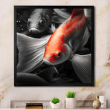 Black And Red Tropical Fish V