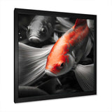 Black And Red Tropical Fish V