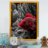 Black And Red Tropical Fish VII