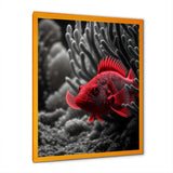 Black And Red Tropical Fish VII