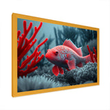 Tropical Fish In Blue And Red II