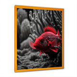 Black And Red Tropical Fish IX