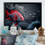 Tropical Fish In Blue And Red IV