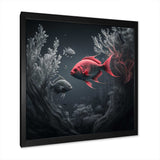 Black And Red Tropical Fish X