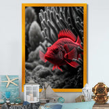 Mysterious Tropical Fish In Blue And Red II