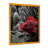 Mysterious Tropical Fish In Blue And Red II