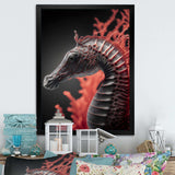 Seahorse In Red And Black