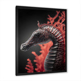 Seahorse In Red And Black