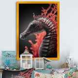 Seahorse In Red And Black