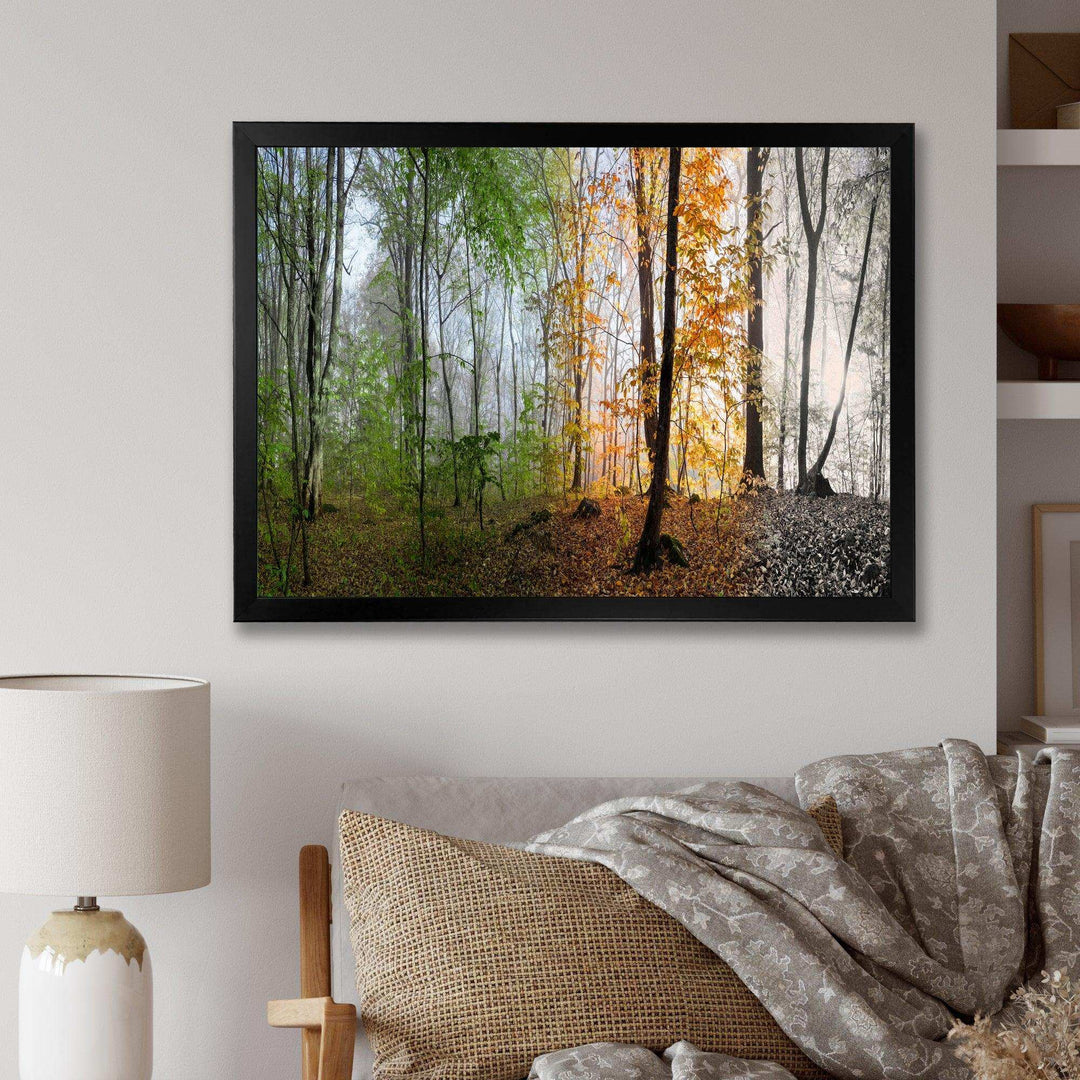 Morning Forest Panorama