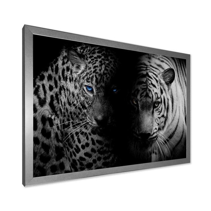Leopard and Tiger in Black