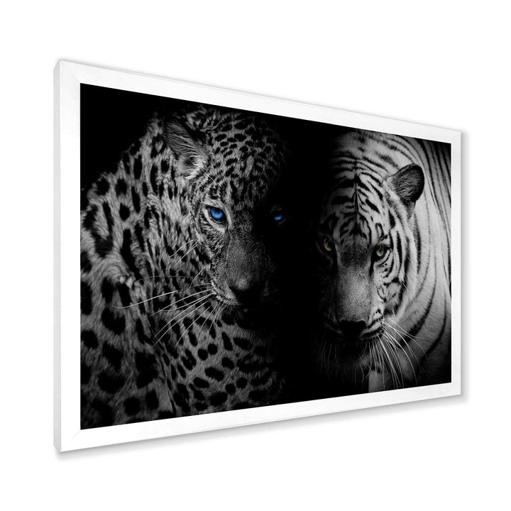 Leopard and Tiger in Black
