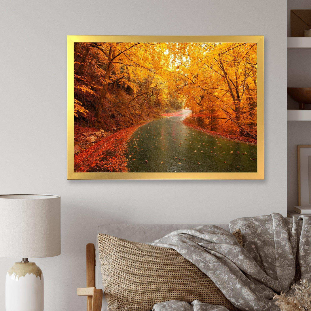Autumn Light Trails on Road