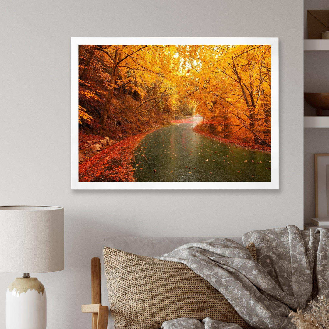 Autumn Light Trails on Road