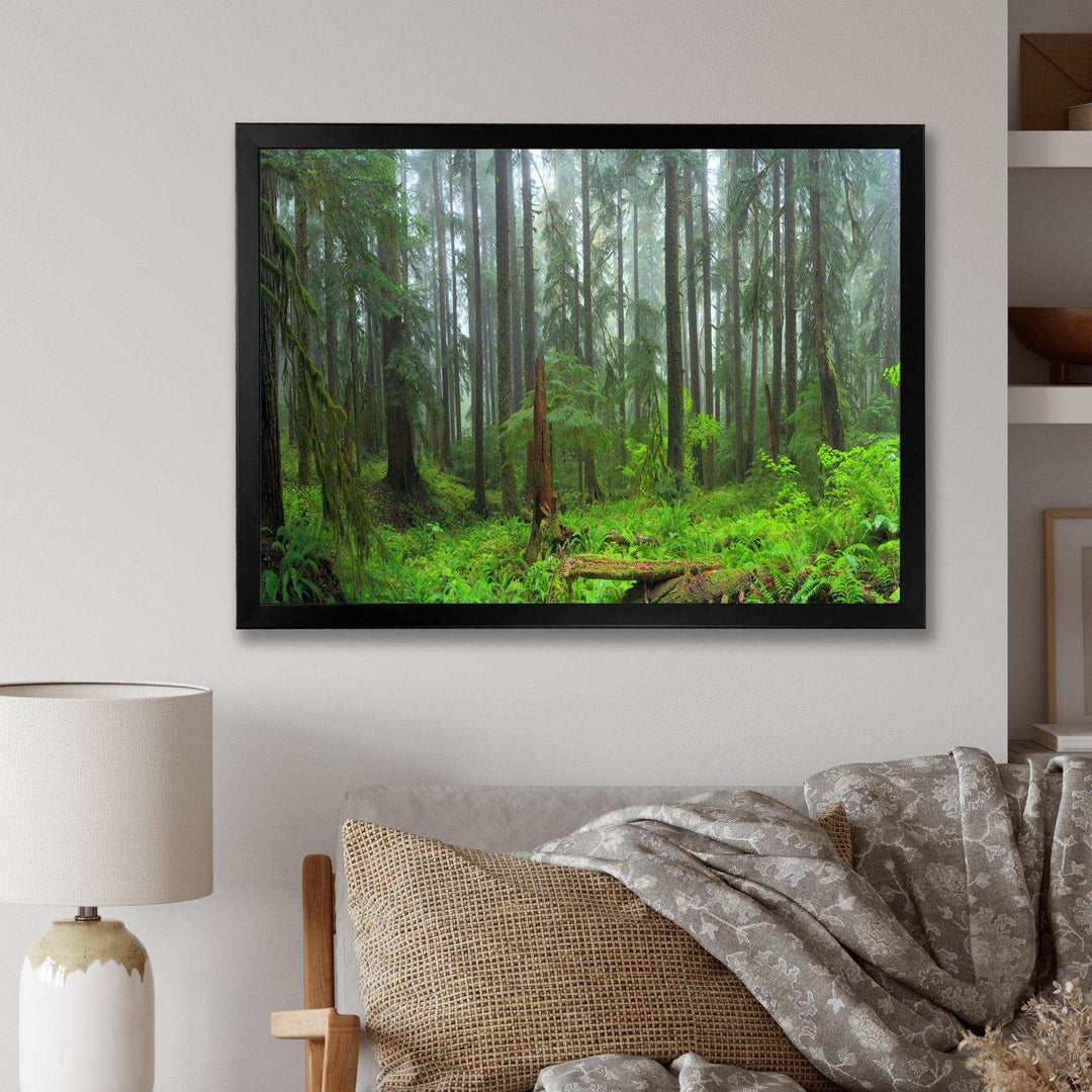 Hoh Rain Forest