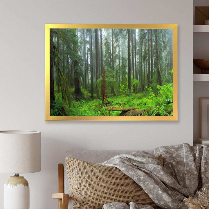 Hoh Rain Forest
