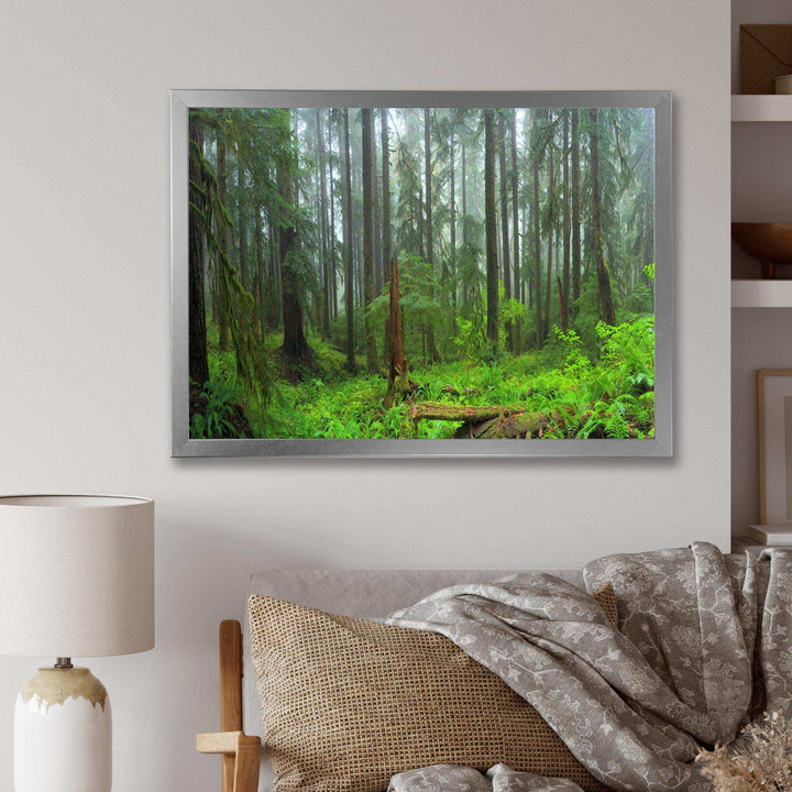 Hoh Rain Forest