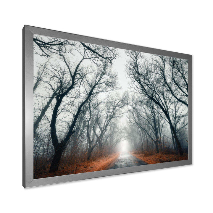 Mystic Road in Forest