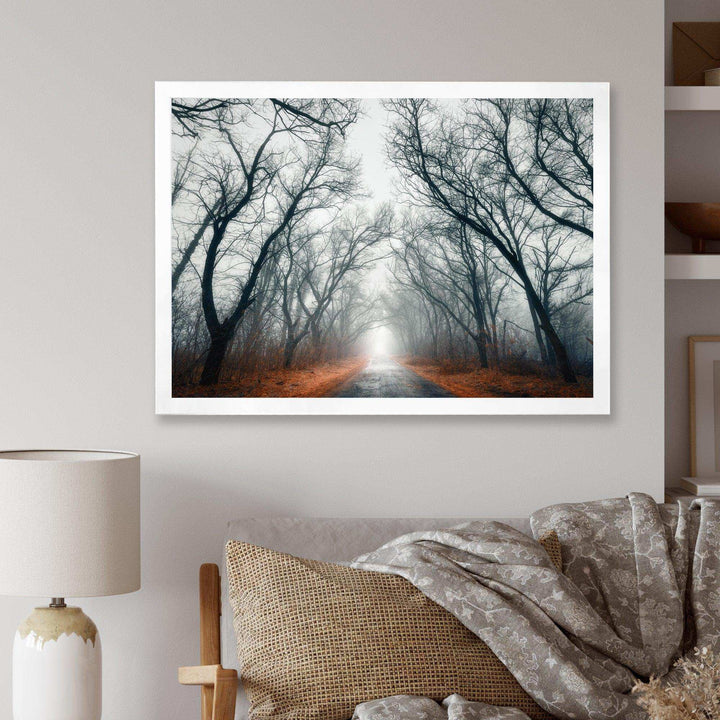 Mystic Road in Forest