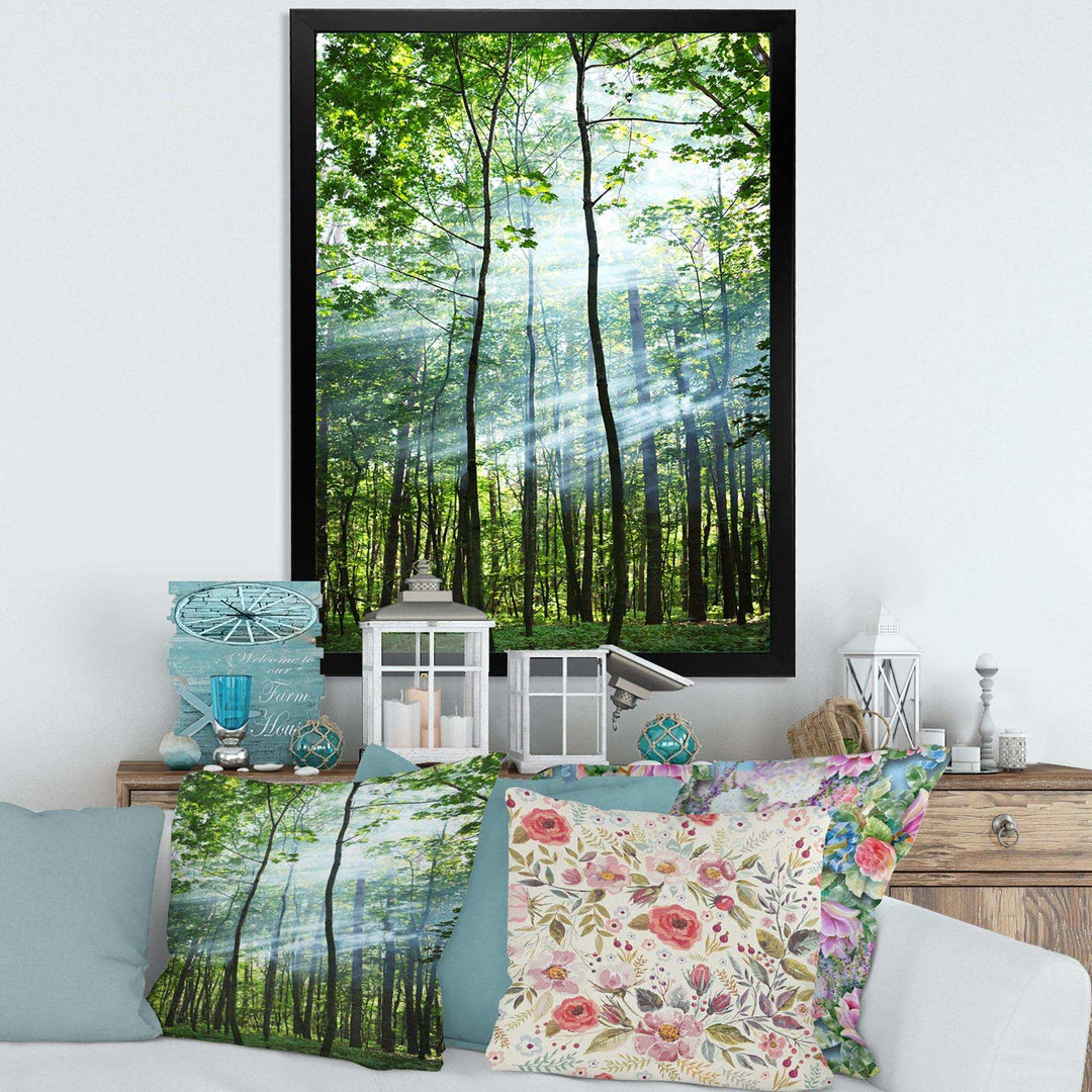 Green Sunny Forest