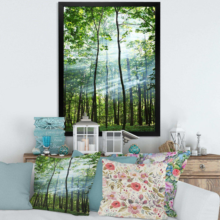 Green Sunny Forest