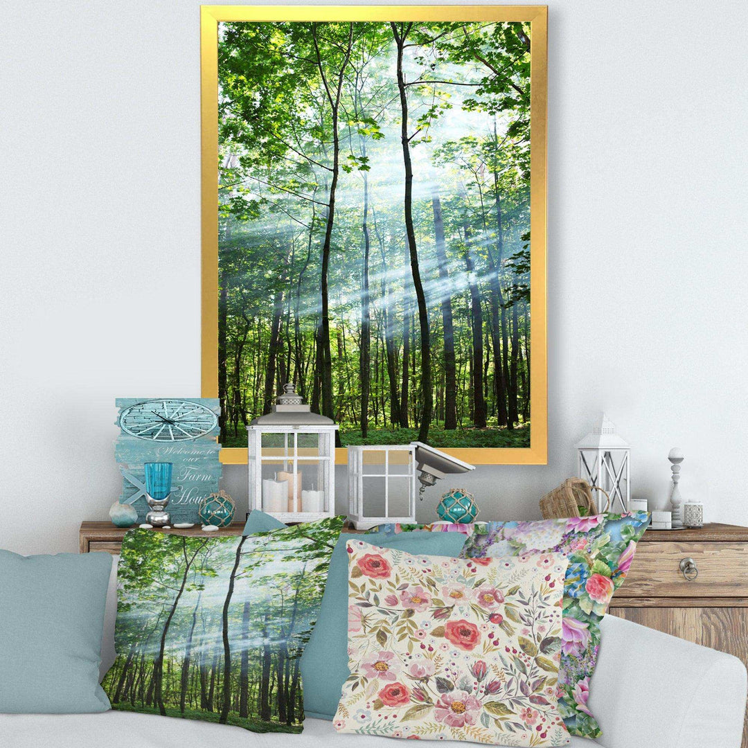 Green Sunny Forest