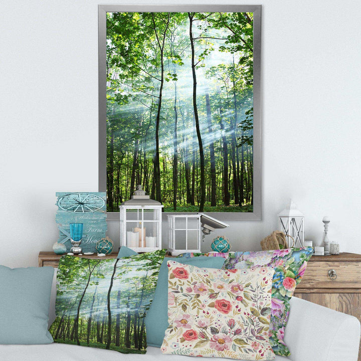 Green Sunny Forest